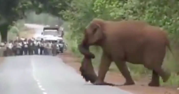 ӡ�ȴ���ȺΪС���������