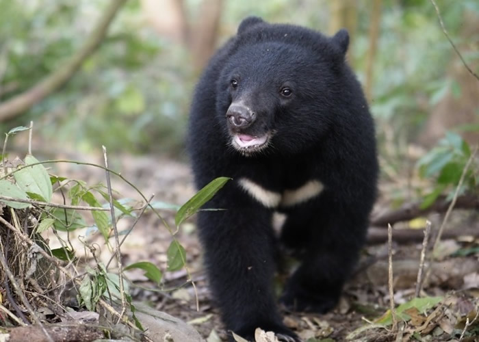 �������ߵ����������磨CNN������̨����ܱ��� ֻʣ�²���600ֻ