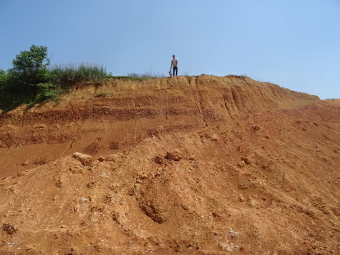 澧县旧石器遗址调查现场剖面