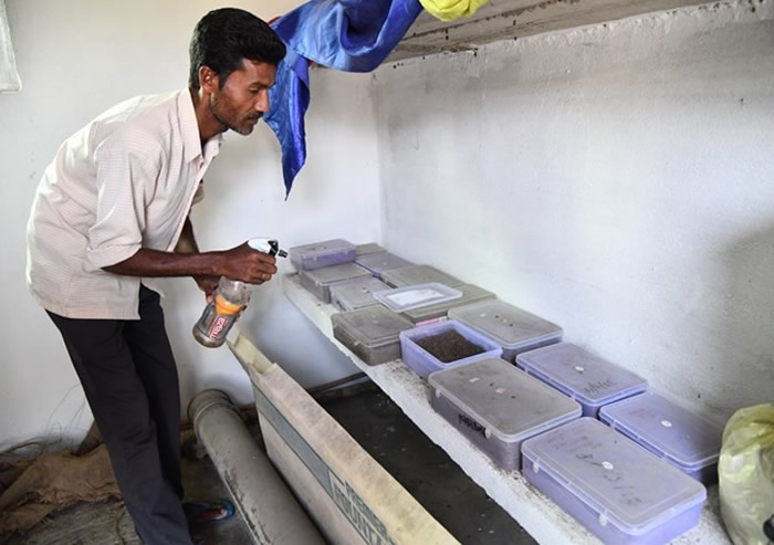 �����˶����𽫹군�ŵ���������