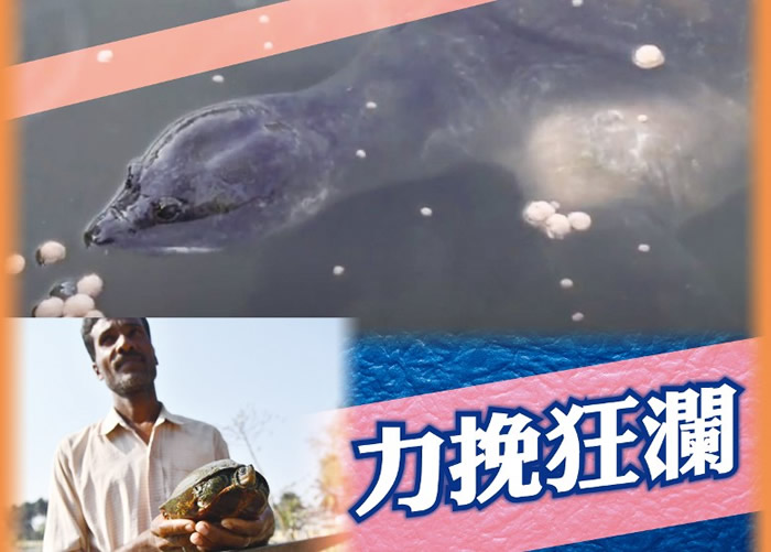 �����˶�����ƻ��ɹ���Ļ�󹦳���