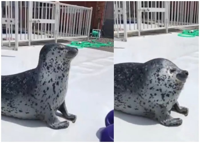 ձƱк԰һֻʽڶӵϱ