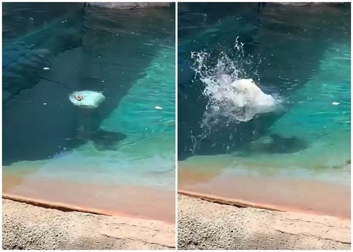 ����ʥ���궯��԰������Ȧ��������СѼ�Ե�