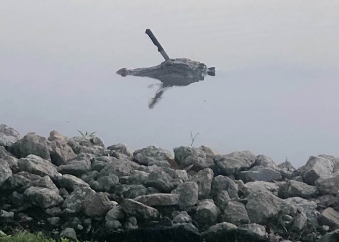 �������ݱ��±���Ů��ɢ��ʱ���ֺ��ж�����ͷ�Ͼ�����ţ�ŵ�