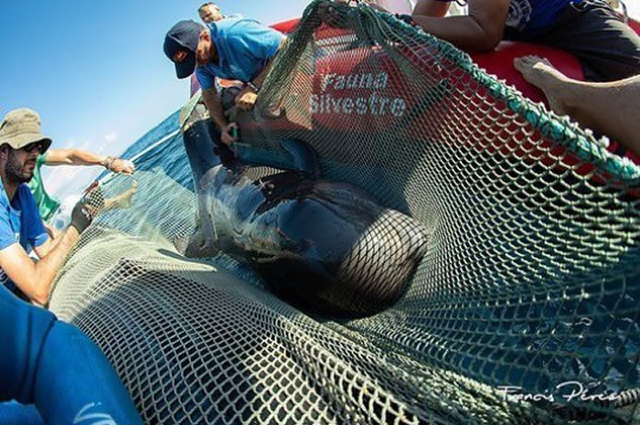 Francis P��rez��������������Ⱥ���ĵ���֫�캽�����Ű��β�� ���������������ն��