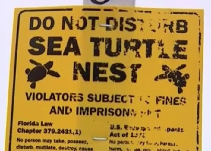 保护区竖起“请勿打扰”的黄色标志。