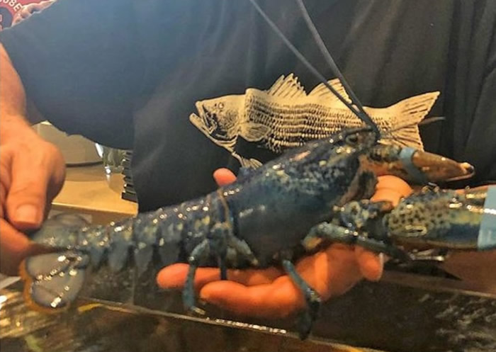 ����������������˹̹���ʲ����ϰ���ˮ��ݾ��������ɫ��Ϻ ��������������ѧ��