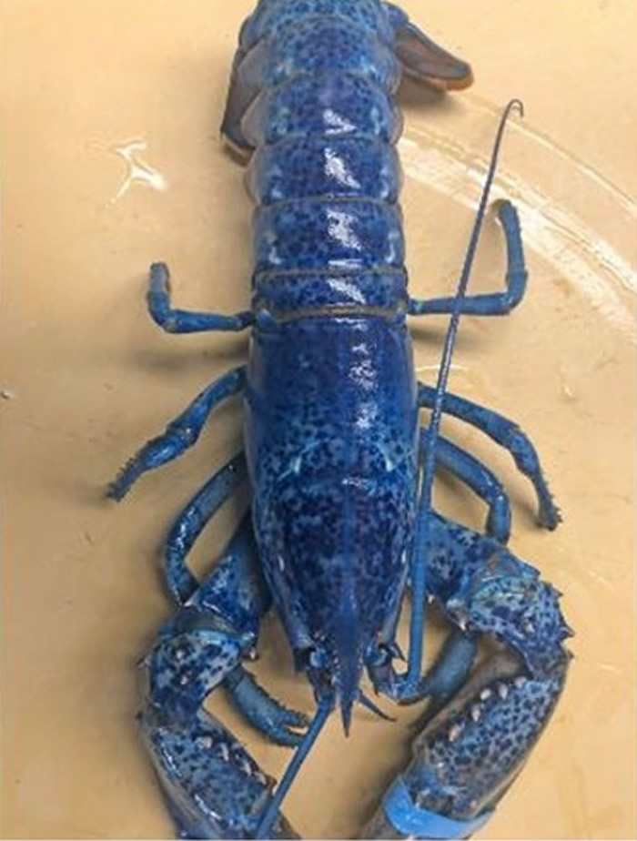 ����������������˹̹���ʲ����ϰ���ˮ��ݾ��������ɫ��Ϻ ��������������ѧ��