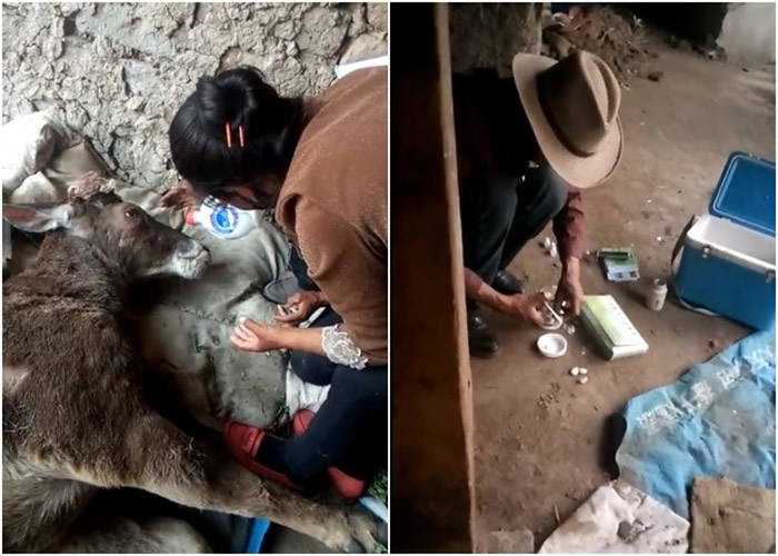 �ַ���ԱΪ�״�¹Ϳҩ��