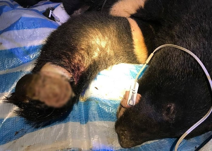 ���ܵ����������˿������á�