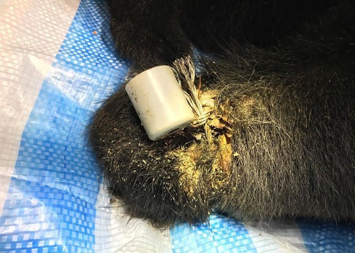 ���������������˾ɻ���