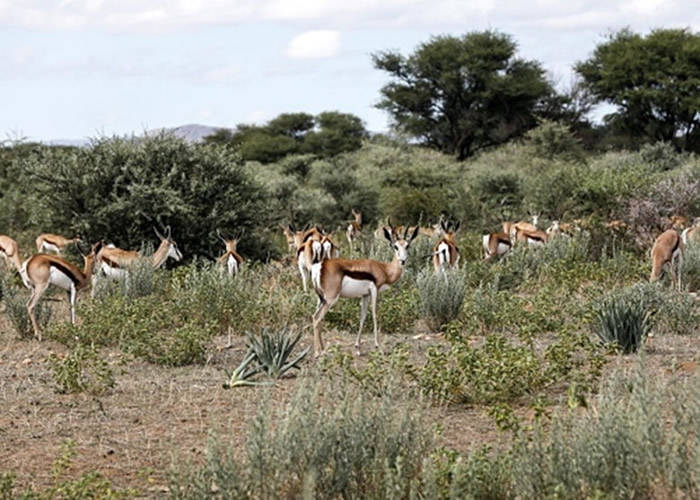 ����ϣ�����۶�ֻ���硣