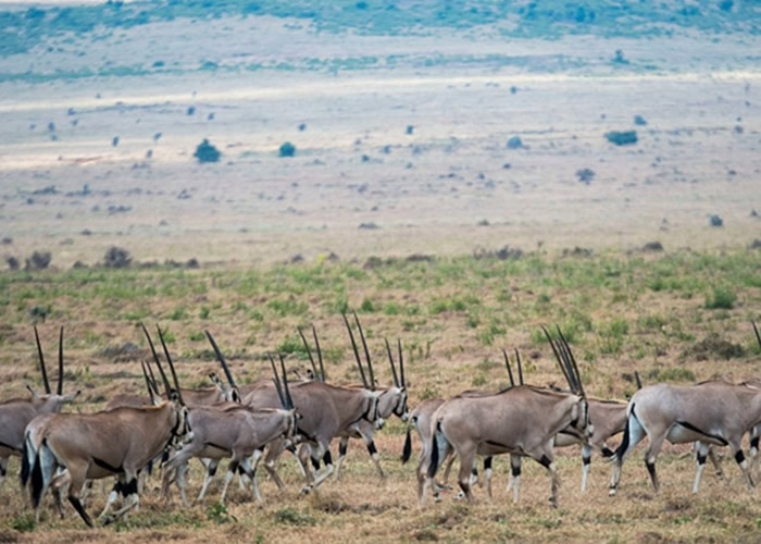 ����Ҳ���������۶���֮�С�