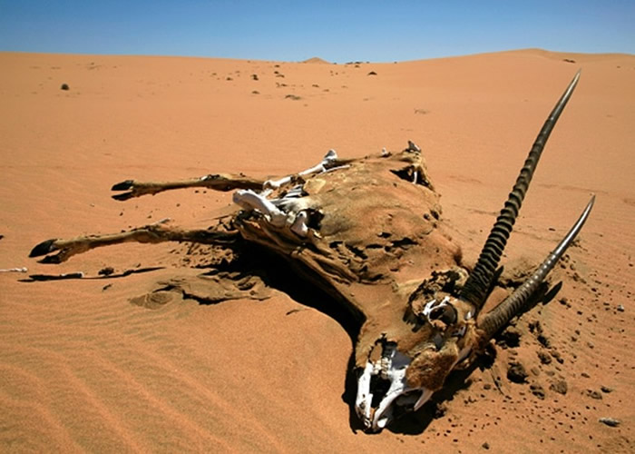 �ɺ�������ٶ���������