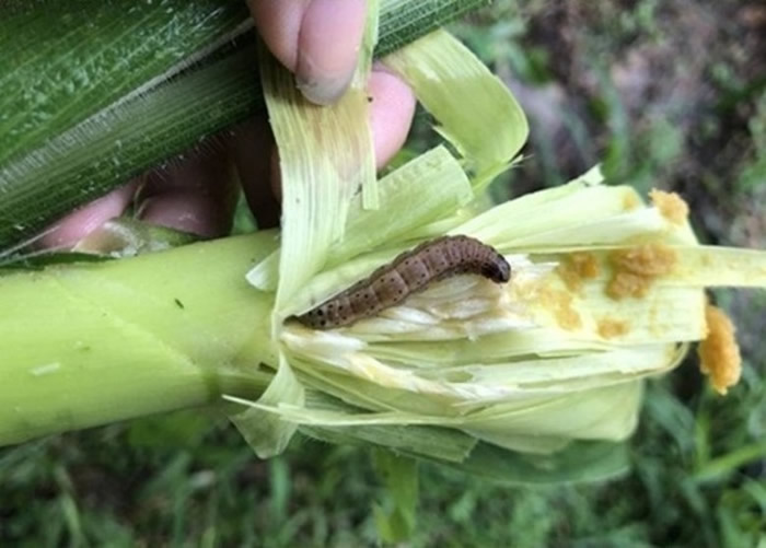 ̨շִݵ̰ҹ꣨о棩ֵظ