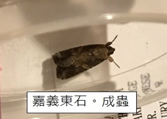 ̨շִݵ̰ҹ꣨о棩ֵظ