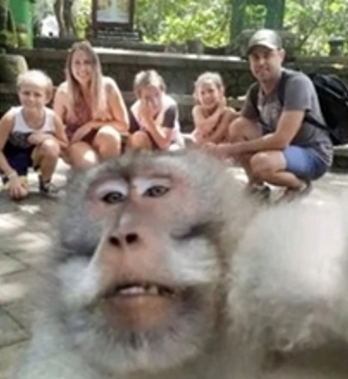 ���޼�ͥ��ӡ��Q�ﵺʥ��ɭ�ֹ�԰������������ʱ����������