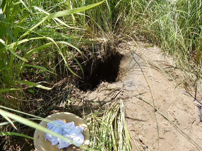 ̨ĹߡԴСʬ רң߻бӦ