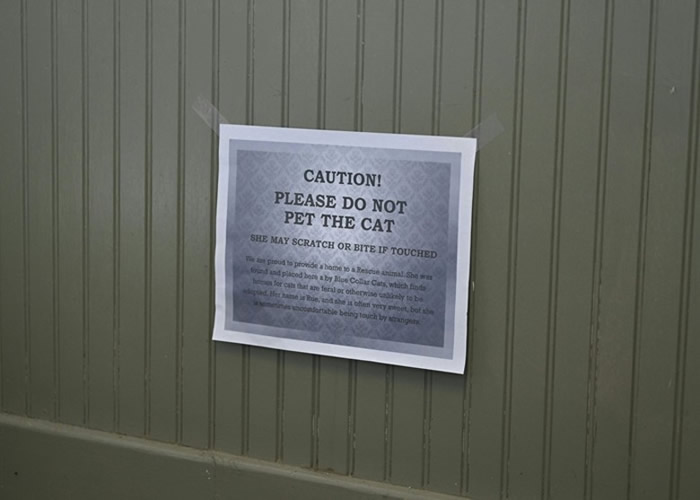 ����è��಻�����˽�����