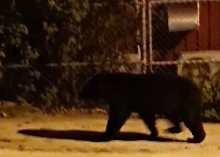 ̨��̨��������У�������ܱ��Ŵ� ���뿪�������Ӱ