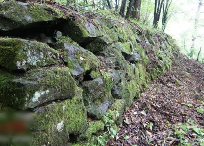 ����ʡ����ɽ���ֿ���ս��ʱ�ڴ��;����ż� ר�ң��о������ش�