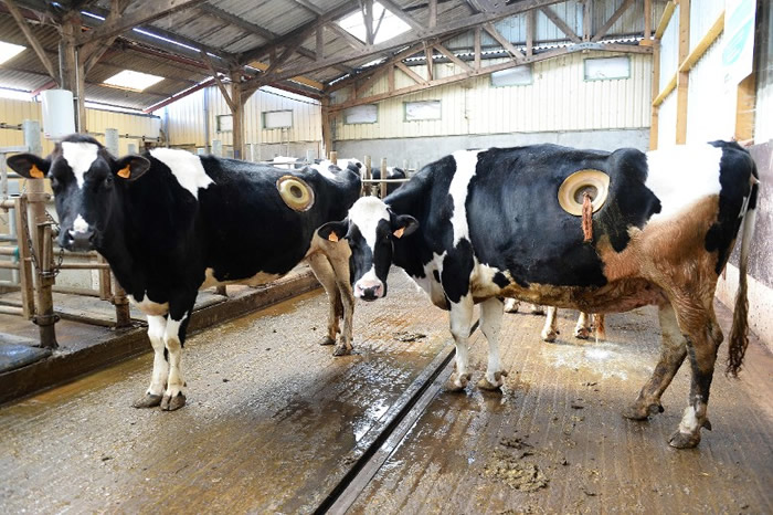 ��ţ���忪�׹۲�θ�� ������������������Sanders���ں�