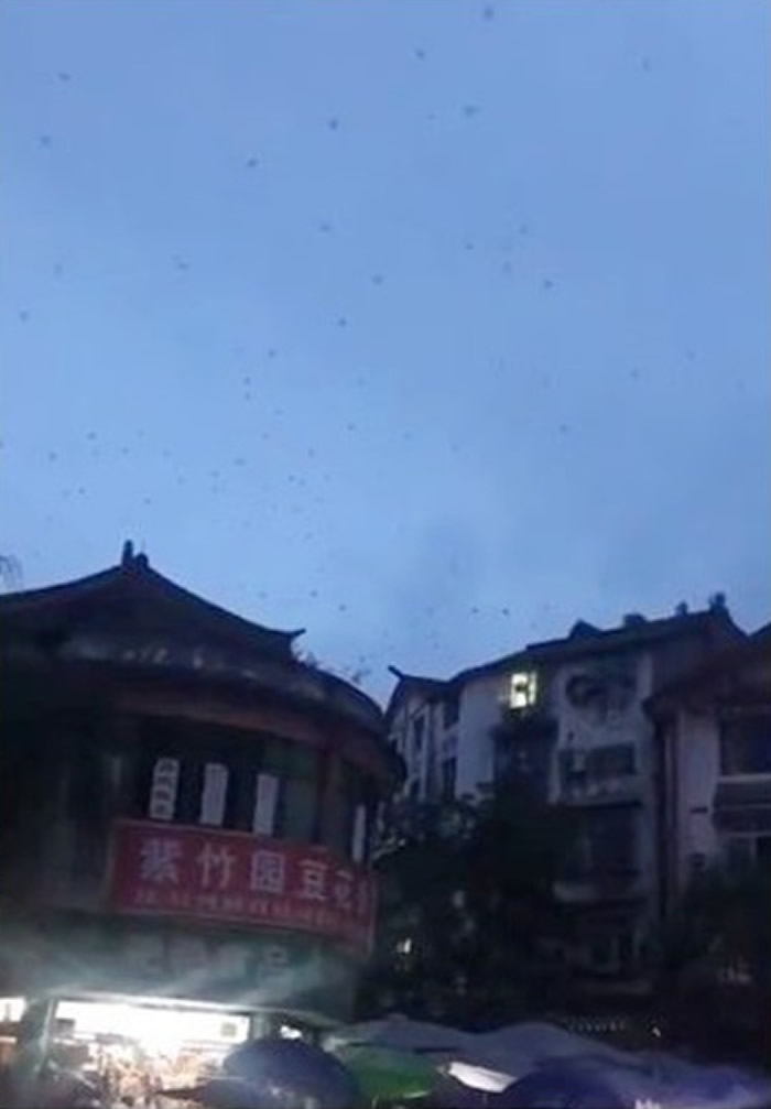 �Ĵ�ʡ�˱����ٷ������� ���ӳ�Ⱥ��������������