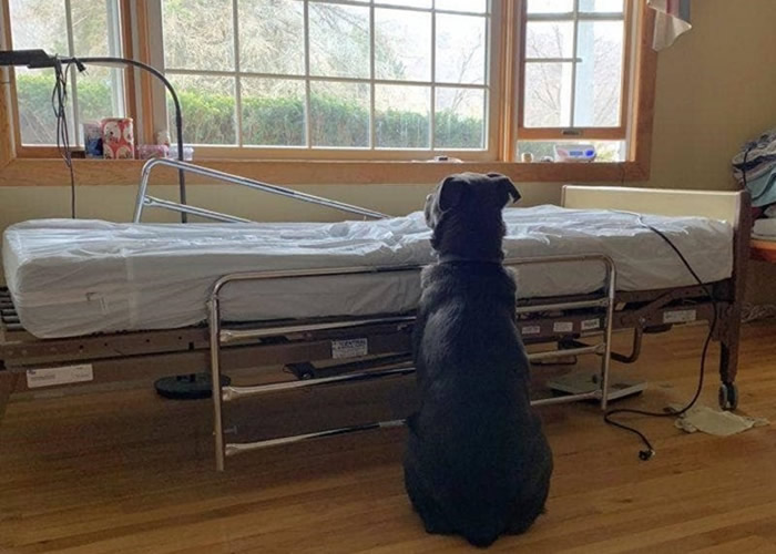 ���������������Ȯ��֪�������� �غ�մ���Ӱ��������