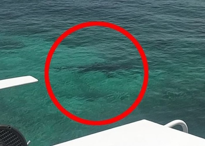 ��ͬ���ο��ĵ�ҧ���������Ӱ��