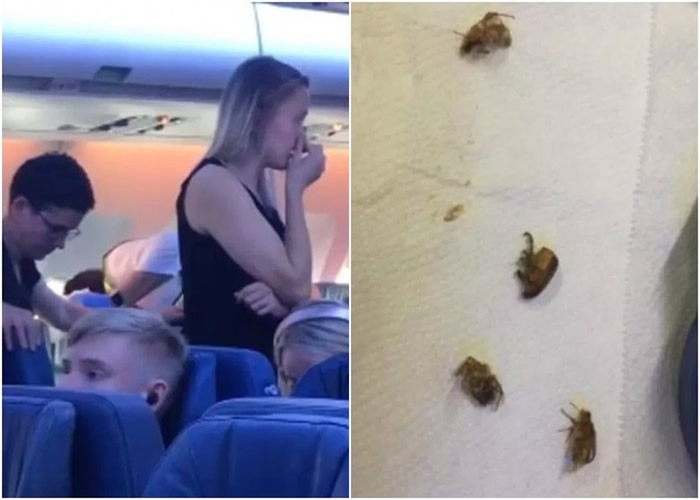 ���ô�Խ�󺽿չ�˾�ͻ����ǰͻȻӿ�ִ�����������