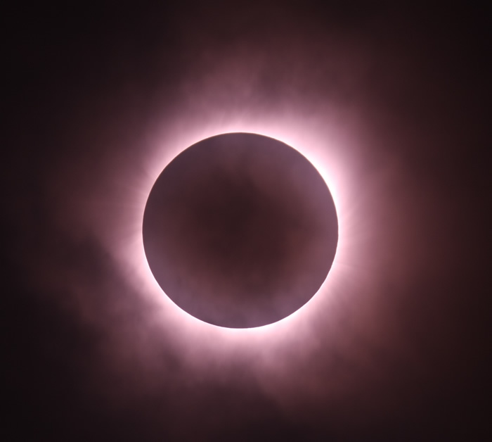 2019��7�·���������ſ���7��3����ȫʳ