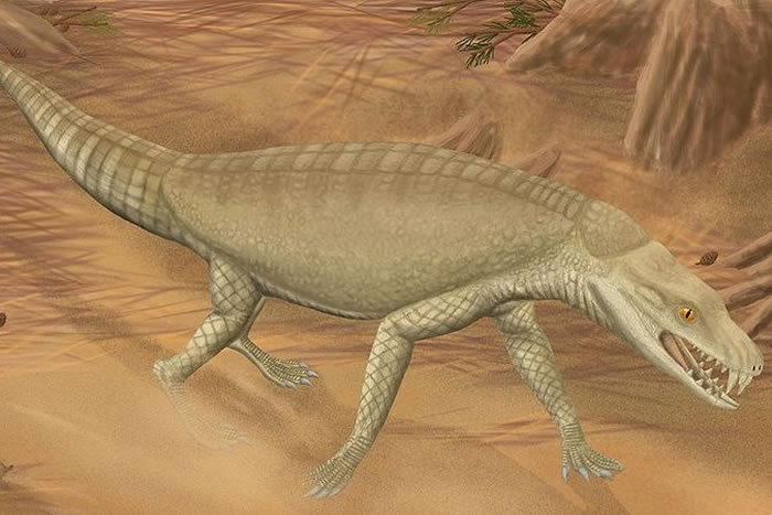 澳大利亚南威尔士发现现代鳄鱼的古老祖先化石