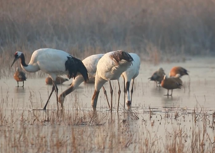 �ƣ��������е�������Ϣ��