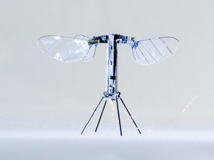 美国哈佛大学制造出仅重259毫克的微型无人机Robo Bee X-Wing