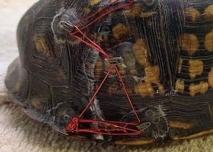 ���������������ݶ��ﱣ�����ķ��������Ʒ� ����Χ��Э�����޲����