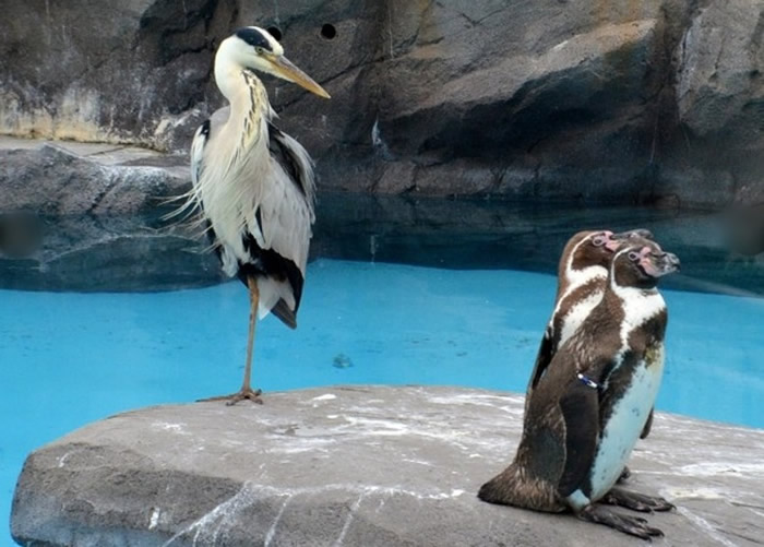 ����վ�����ص���ʯ�ϡ�