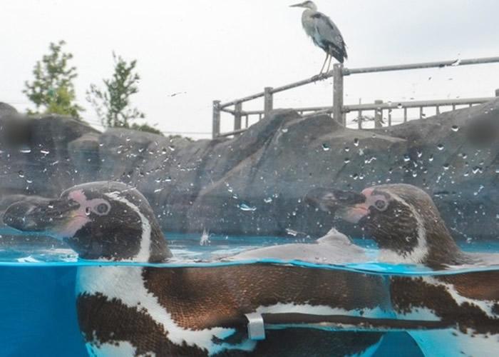 ���������صķ�Χ��