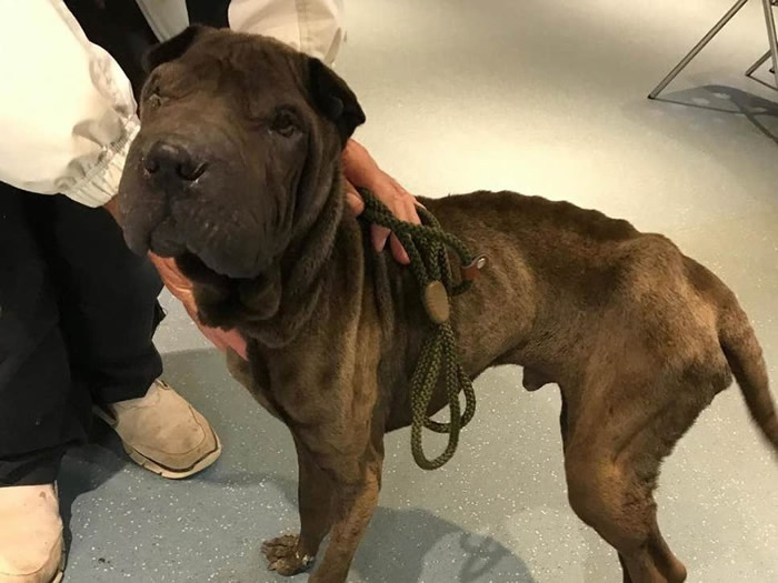 СʱѾݹᾣؼȥһ롣