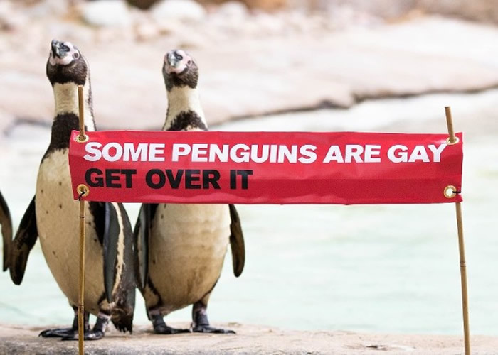 �׶ض���԰�����԰����֧����С�ڵĺ�