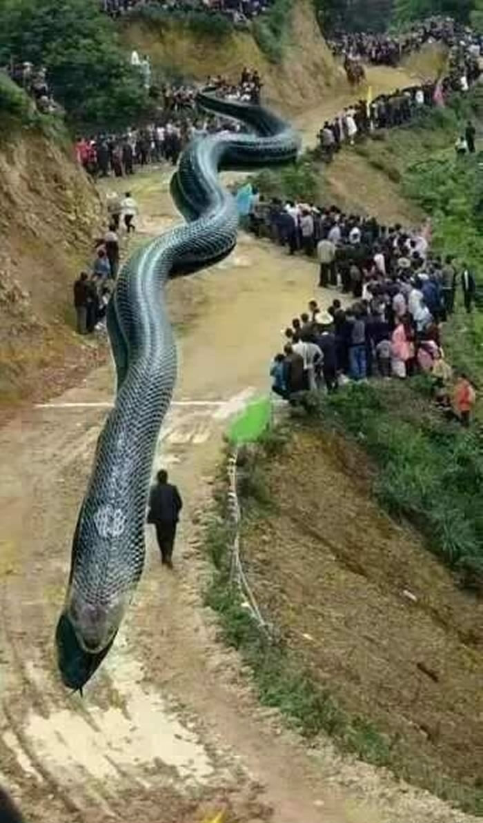 ���조�˱�����6.0����������120�׳���������ҥ�߱��ΰ�����