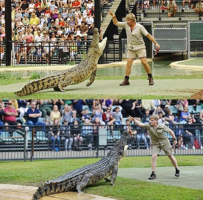 已故澳大利亚“鳄鱼猎人”史蒂夫·欧文的儿子罗伯特追随父亲的脚步
