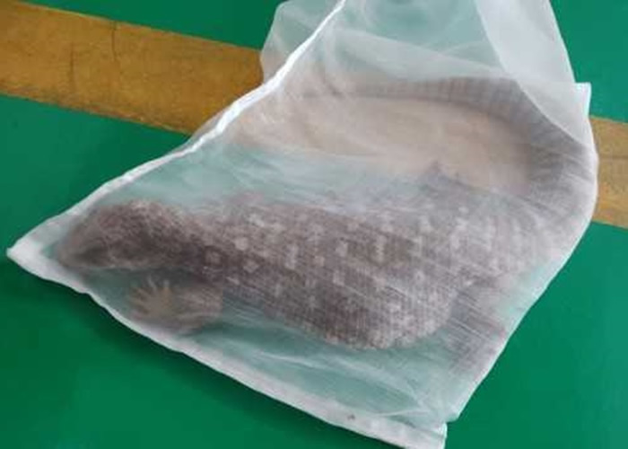 㶫ʡɽ̹ƽԭᴳӱ ճв