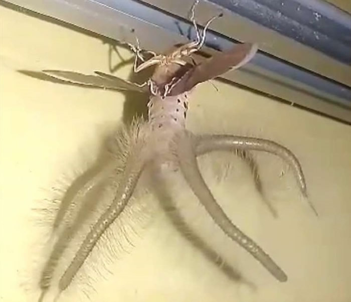 �����ҵƶꣿӡ����������������Ϸ����������