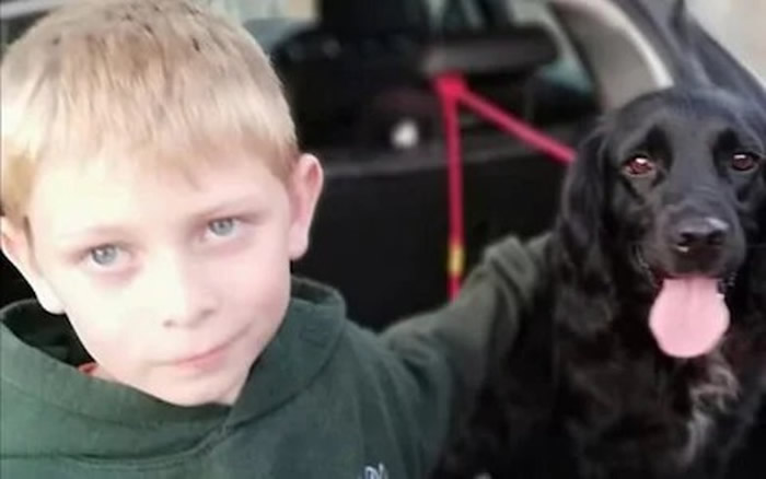 Ӣ�����￤����С������6�������� ƾ��ƬѰ��ؼ�·