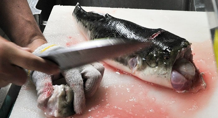 oane.ws网站列出世界上最危险的九种新奇菜单:河鲀排榜首