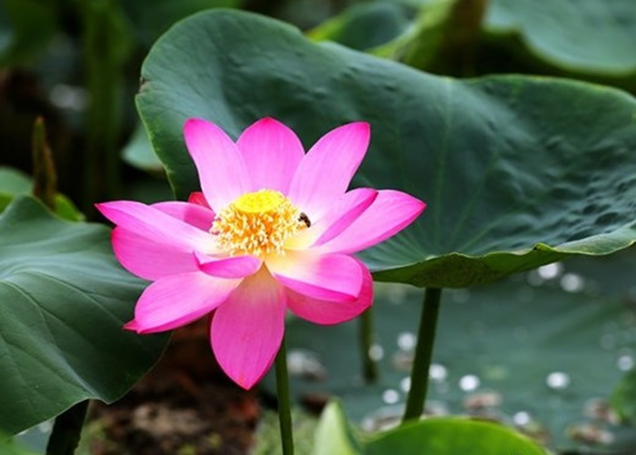 Բ԰ھĳ˯ӳɹһ仨