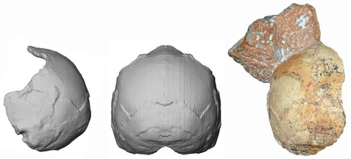 希腊洞穴中发现的人类头骨化石可能是欧洲最古老人类的遗骸