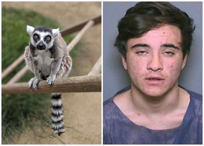 ������������Ǳ��ʥ���ȶ���԰͵�߻�β����