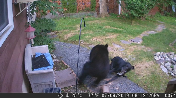 �����������ݾ����Ժ��������� �ھ�Ӣ�ºڹ��ϵ���������