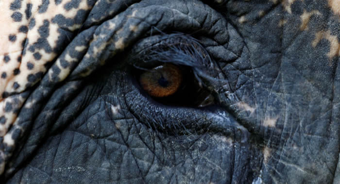 ӡ�Ȱ��������ϴ�������Ұ����������ǰ�˯��7��Ů���ϳ����Ӳ���